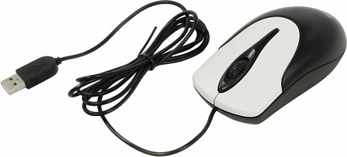 Мышь GENIUS  NetScroll 100 V2, USB, чёрный/белый (black, optical 1000 dpi, подходит под обе руки)